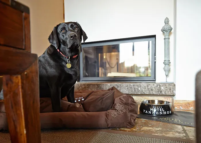 Tannenhof*****superior Sankt Anton am Arlberg