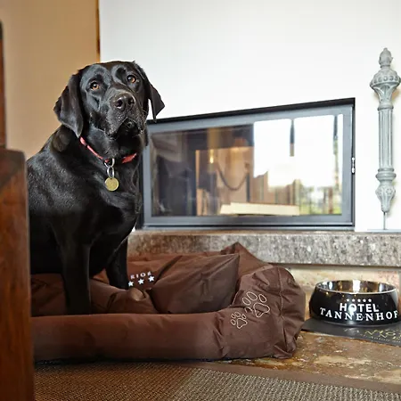 Tannenhof*****superior Sankt Anton am Arlberg